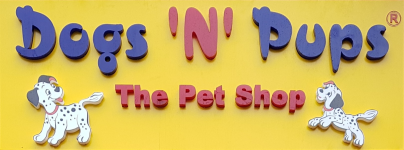 Dogs N Pups - Nerul - Navi Mumbai