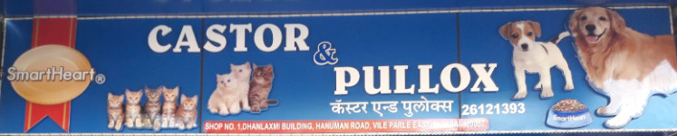 Castor & Pullox Pets Shop - Vile Parle East - Mumbai