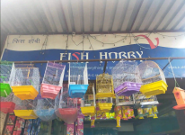 Fish Hobby - Chembur East - Mumbai