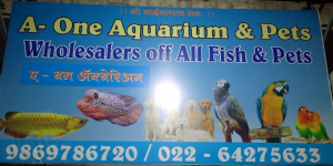 A 1 Aquarium - Borivali East - Mumbai