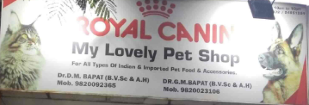 My Lovely Pet Shop - Worli - Mumbai