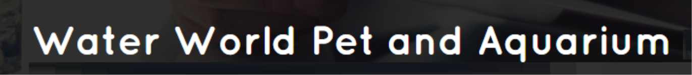 Water World Pets & Aquarium - Crawford Market - Mumbai