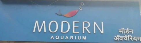 Modern Aquarium - Shivaji Path - Thane