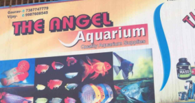 Angel Aquarium - Nalasopara East - Palghar