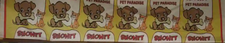 Shonit Pet - Seawoods - Navi Mumbai