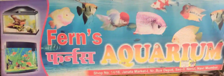Ferns Aquarium - Nerul - Navi Mumbai