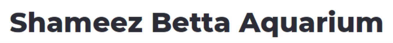 Shameez Betta Fish Aquarium - Goregaon West - Mumbai