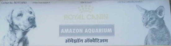 Amazon Aquarium - Kopar Khairane - Navi Mumbai