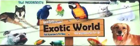 Exotic World Pet Shop - Khar West - Mumbai