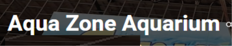 Aqua Zone Aquarium - Mira Road - Thane