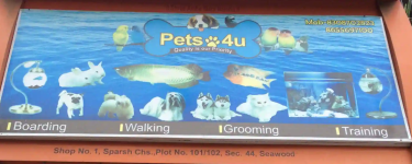 Pets 4 U - Seawoods - Navi Mumbai