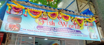 New Fish World - Andheri West - Mumbai