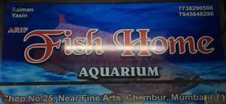 Fish Home - Chembur East - Mumbai