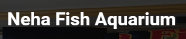 Neha Fish Aquarium - Bhayandar East - Thane