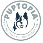 Puptopia - Powai - Mumbai