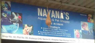 Nayanas Aquarium & Pet Shoppy - Kharghar - Navi Mumbai