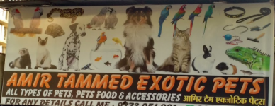 Amir Tammed Exotic Pets - Ghatkopar West - Mumbai