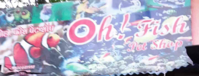 Oh Fish Pet Shop - Mulund West - Mumbai