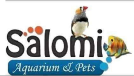 Salomi Aquarium & Pets - Matunga East - Mumbai