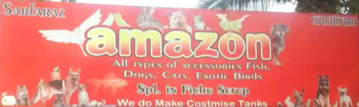 Amazon Pet Shop - Mira Road - Thane