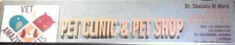 Vet 4 Amazing Pets - Hiranandani Estate - Thane