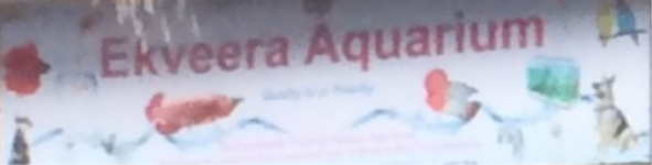 Ekvira Aquarium - Nerul - Navi Mumbai