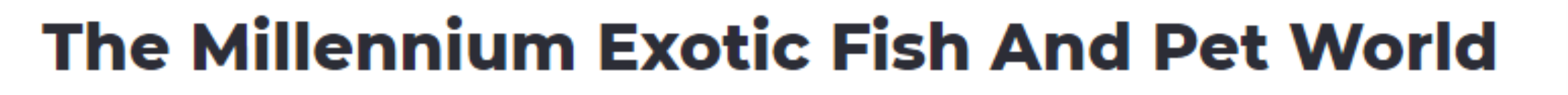 Millennium Exotic Fish & Pet World - Sector 17 - Gurugram