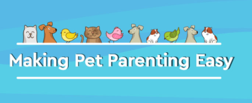 Petsutra - Petbuddy Products Pvt Ltd - Sector 49 - Gurugram