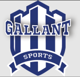 Gallant Sports & Infra Private Limited - Sector 49 - Gurugram