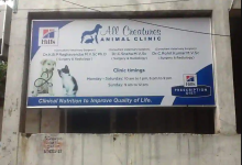 All Creatures Animal Clinic - East Marredpally - Hyderabad