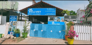 Allvet Pet Clinic - Banjara Hills - Hyderabad