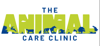 Animal Care Clinic - Banjara Hills - Hyderabad