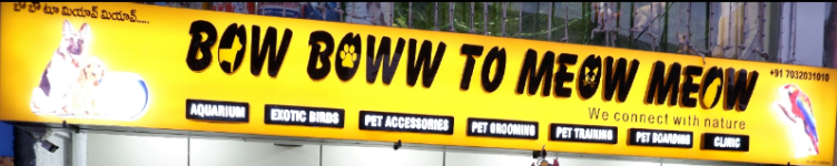 Bow Boww To Meow Meow - Kukatpally - Hyderabad