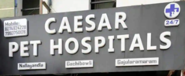 Caesar Pet Hospital - Serilingampally - Hyderabad