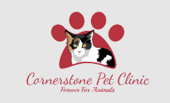 Cornerstone Pet Clinic - Banjara Hills - Hyderabad