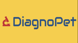 Diagnopet - Narayanguda - Hyderabad