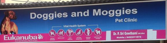 Doggies And Moggies Pet Clinic - Yellareddyguda - Hyderabad