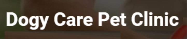 Dogy Care Pet Clinic - Secunderabad - Hyderabad