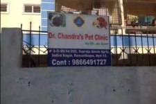 Dr. Chandra Pet Clinic - Ramanathapur - Hyderabad
