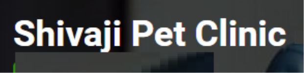 Drshivaji Online Pet Consultation - Ameerpet - Hyderabad