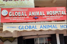 Global Animal Hospital - Trimulgherry - Hyderabad