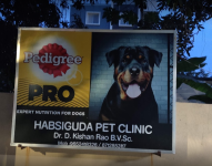Habsiguda Pets Clinic - Habsiguda - Hyderabad