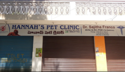 Hannahs Pet Clinic - Chanda Nagar - Hyderabad