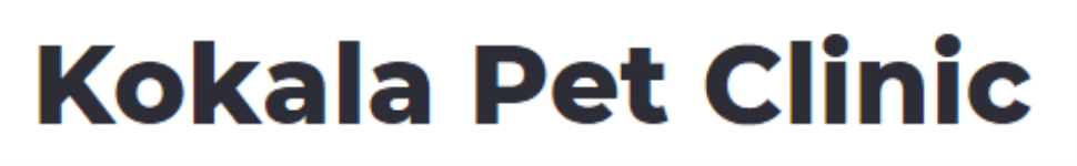 Kokala Pet Clinic - Ashok Nagar - Hyderabad