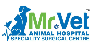 Mr Pet Animal Clinic - Vanasthalipuram - Hyderabad