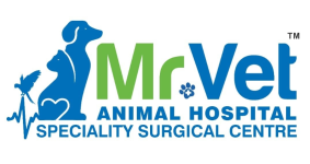 Mr Vet Animal Hospital - Gachibowli - Hyderabad