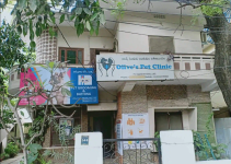 Olives Pet Clinic - Chikkadpally - Hyderabad