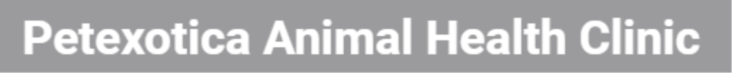 Petexotica Animal Health Clinic - Manikonda - Hyderabad