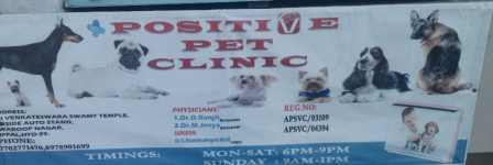 Positive Pet Clinic - Uppal - Hyderabad