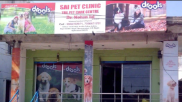 Sai Pet Clinic - LB Nagar - Hyderabad